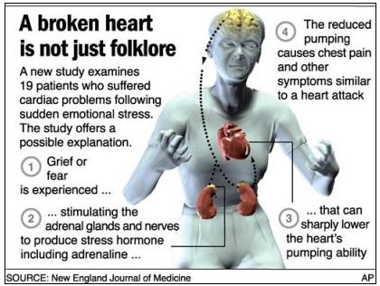 The Science Of The Broken Heart